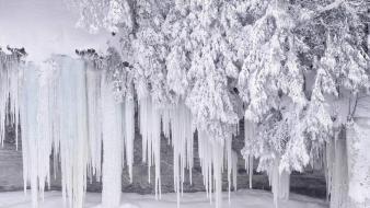 Frozen Scenery wallpaper