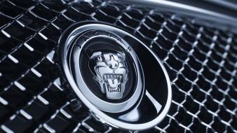 Jaguar Xf Logo wallpaper