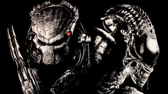 Aliens vs predator movie wallpaper