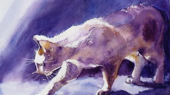 Paintings cats animals artwork watercolor wallpaper