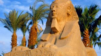 Palm trees sphinx avenue luxor of sphinxes wallpaper