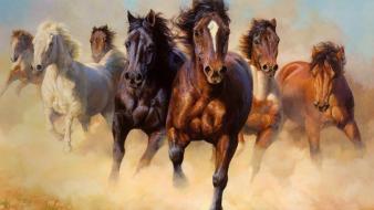 Horses wallpaper