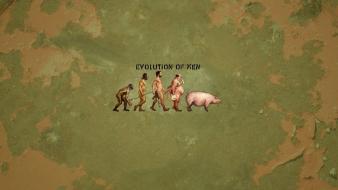 Minimalistic animals humor men funny textures evolution pigs wallpaper