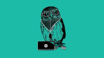 Minimalistic hipster owls simple