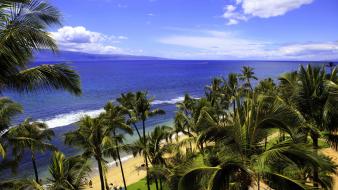Ocean beach tropical paradise palm trees skies wallpaper