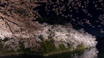 Japan cherry blossoms flowers spring (season) wallpaper
