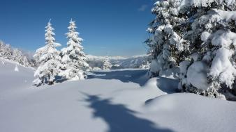 Landscapes winter snow trees snowy mountains wallpaper