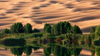 National geographic oasis camels sand dunes reflections wallpaper
