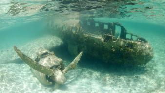 Nature aircraft wrecks underwater waterscapes