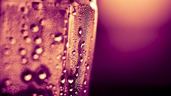 Water drops macro condensation waterbottle wallpaper