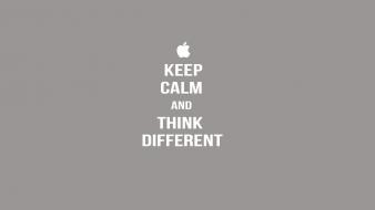 White text gray typography steve jobs apples wallpaper