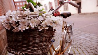 Flowers bicycles italian romantic european morning french baskets wallpaper