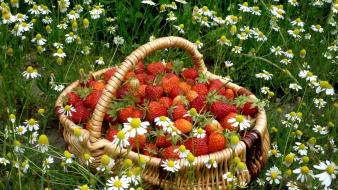 Flowers fruits grass strawberries baskets wallpaper