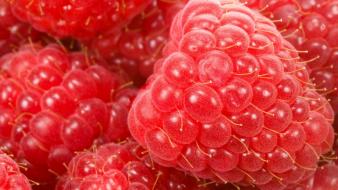 Fruits raspberries wallpaper