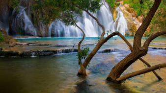 Landscapes trees waterfalls wallpaper