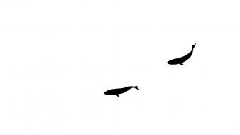 Minimalistic xkcd whales wallpaper