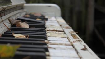 Piano antique keys fallen leaves wallpaper