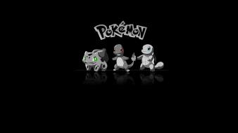 Pokemon black and white squirtle wallpaper