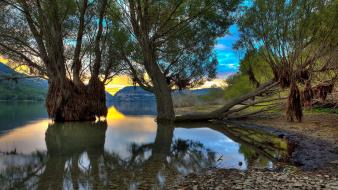 Sunset nature trees lakes wallpaper