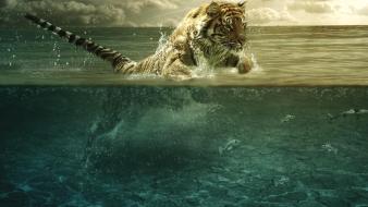 Animals tigers fish leap photomanipulation split-view sea wallpaper