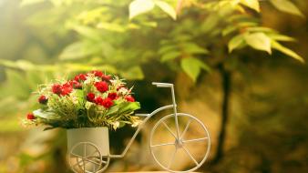 Bicycles plants motorbikes wallpaper