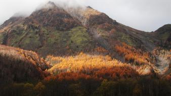 Japan mountains landscapes trees fog asia autumn wallpaper