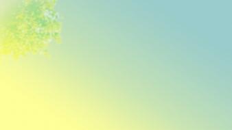 Nature minimalistic trees summer morning gradient skyscapes wallpaper