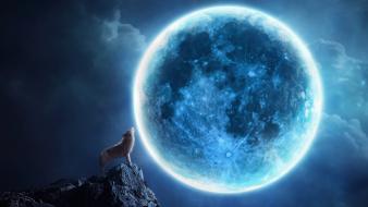 Night moon blue wolves wallpaper