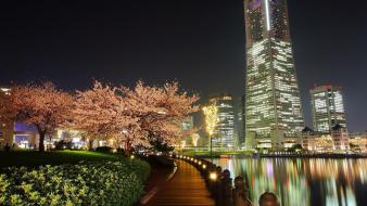 Trees cityscapes buildings rivers cities pathway wallpaper