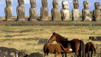 Animals statues easter island moai wallpaper