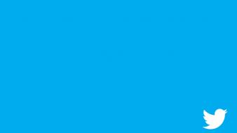 Blue minimalistic twitter logos simple wallpaper