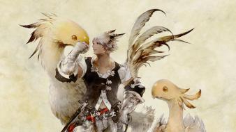 Final fantasy video games xiv chocobo