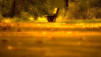Landscapes nature yellow bench lonely wallpaper