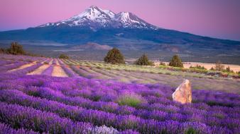 Mountains landscapes htc lavender wallpaper
