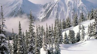 Mountains landscapes nature winter trees forest wallpaper