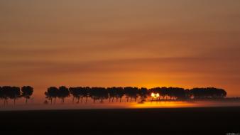 Sunset landscapes nature trees silhouette fog wallpaper