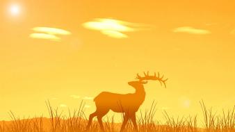 Sunset nature minimalistic orange deer wallpaper
