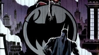 Batman dc comics catwoman wallpaper