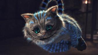 Cats animals alice in wonderland cheshire cat wallpaper