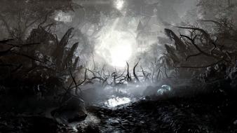 Landscapes death trees dark wallpaper