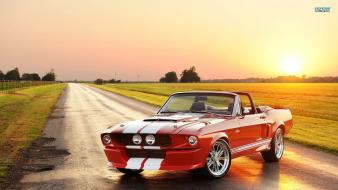 Nature cars classic roads convertible shelby gt500 wallpaper
