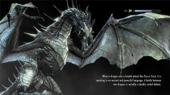 Video games dragons the elder scrolls v: skyrim wallpaper