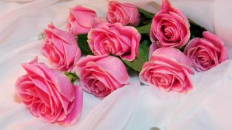 Floor pink roses wallpaper
