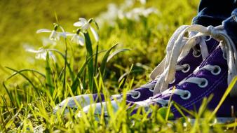 Grass shoes objects white flowers