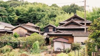 Japan trees cityscapes forest houses asia wallpaper