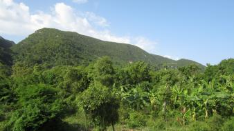 Landscapes haiti countryside