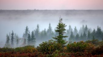 Landscapes nature mist national geographic west virginia wallpaper