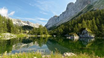 Landscapes nature trees slovenia lakes reflections wallpaper