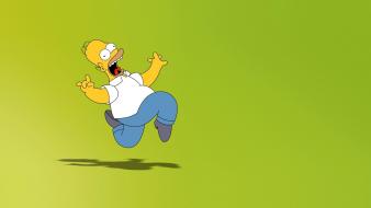 Movies homer simpson the simpsons wallpaper