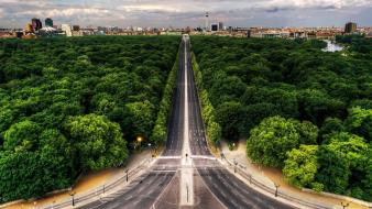 Nature trees forest highway roads cities wallpaper